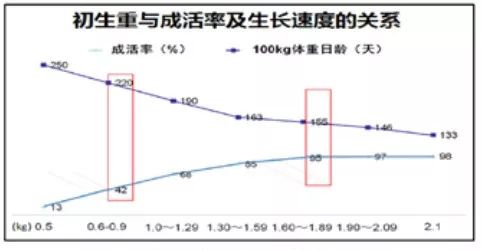 https://mmbiz.qpic.cn/mmbiz_jpg/hdu6AReb6udvmnWr62vfjQ06UHdJPlgGnKrh9AWWP38icQHe3QQIBEWwLlQviacmKfKQFg28lXSIh0kXEpKOA7Ug/640?wx_fmt=jpeg